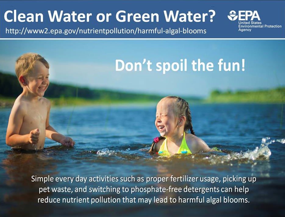 EPA harmful algal bloom graphic