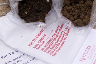 Image of soil test