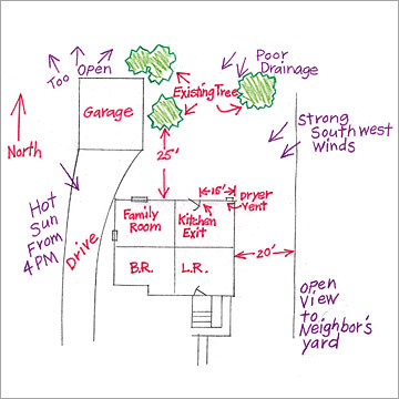 Image of a yard design sketch