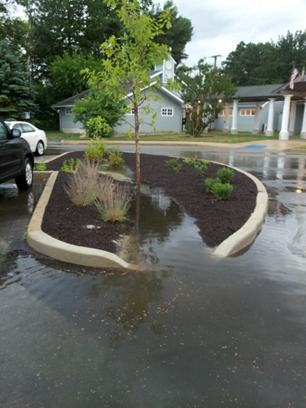 A bioswale capturing runoff in Island Heights, New Jersey.