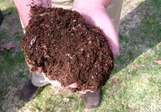 photo of compost in hands