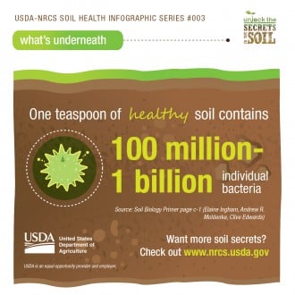 Soil Microorganisms USDA NRCS
