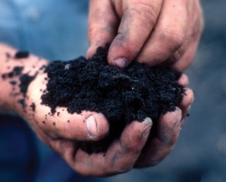 Soil Health