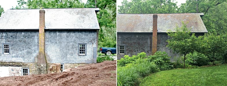 photo of a landscape renovation using native plants in new jersey