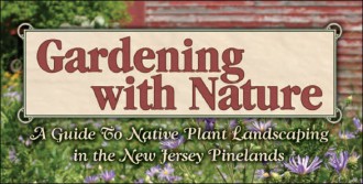 pine barrens landscaping guide